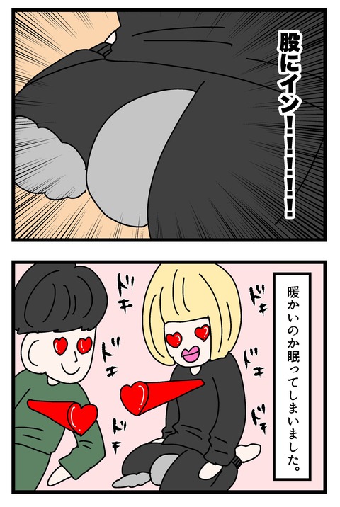 漫画4-6_005のコピー