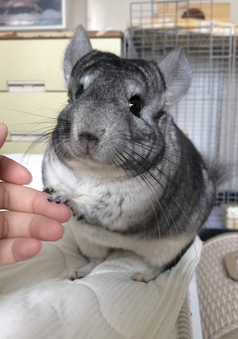 line_oa_chat_231023_121734