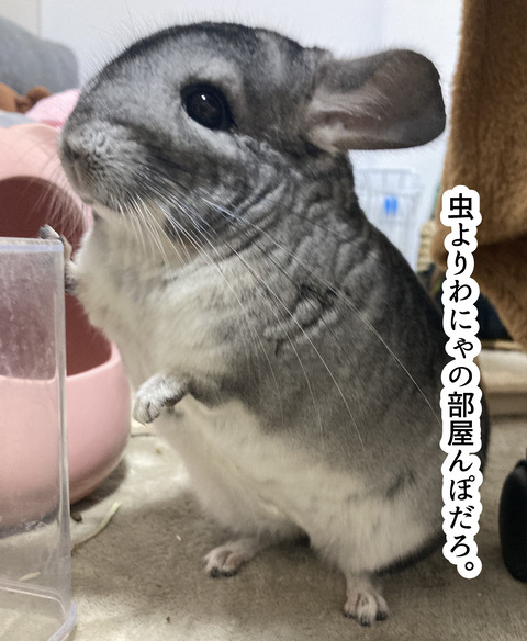 コミック6874_049