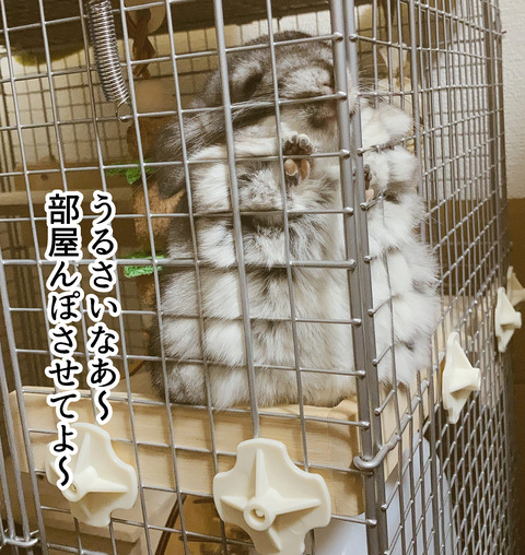 コミック65_023