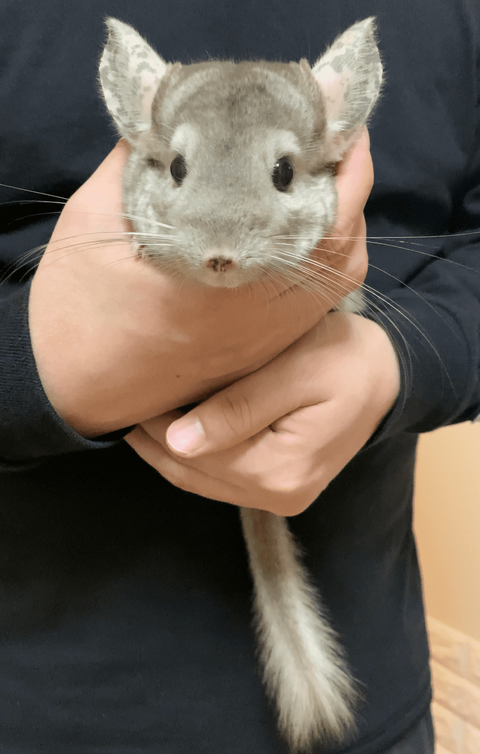 IMG_9681 - 英実 (1) (1)