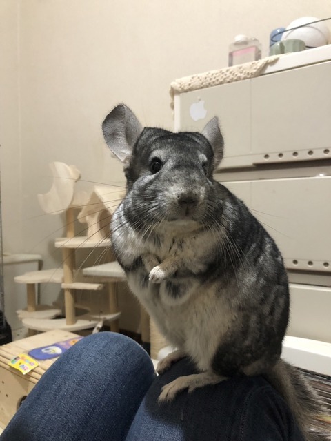 line_oa_chat_231223_142722