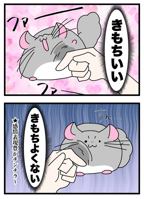 個展で入れたやつ_017 copy