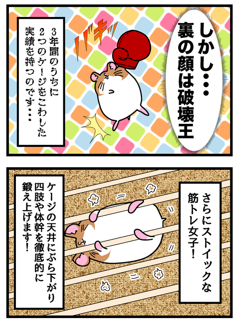 コミック4-6_004のコピー