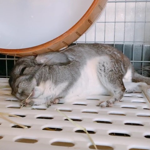 line_oa_chat_231223_145815