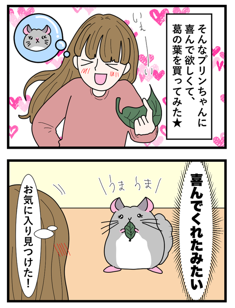 わさびとぐうたらフレンド日記_033 copy 3