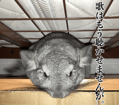 歌はもう聴かせない
