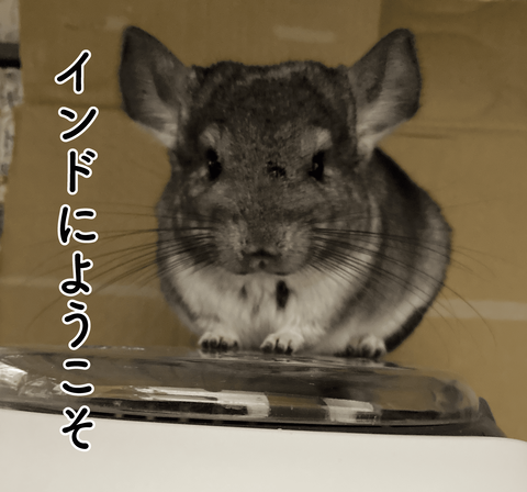 インドにようこそ
