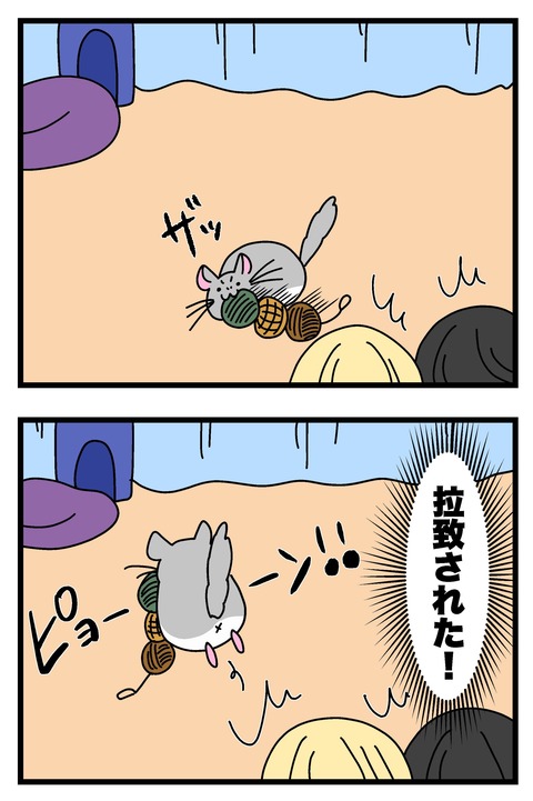 チンチラ漫画3~5_003のコピー2