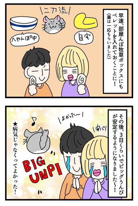 318_017のコピー3
