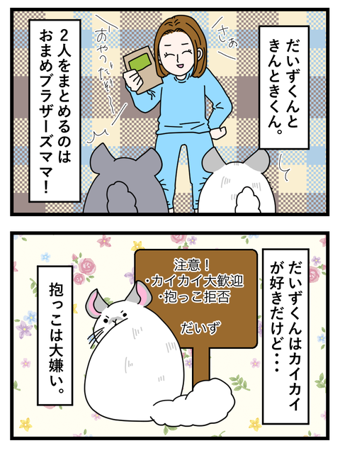 14~16_016 copy