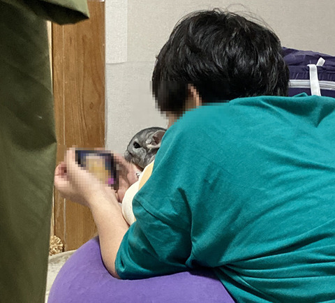 fT317DDLNggIC061658471084_1658471144