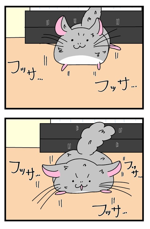 19ー22_019のコピー