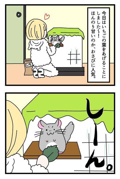 チンチラ漫画１_002のコピー