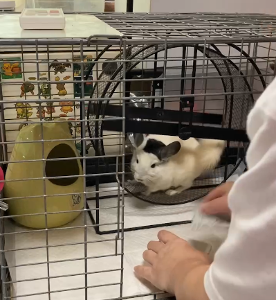 Screenshot 2023-12-23 at 15.13.58