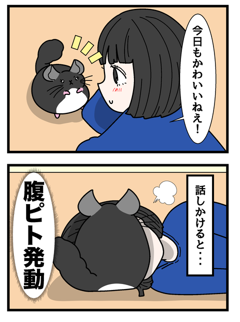 mametyan_003のコピー2