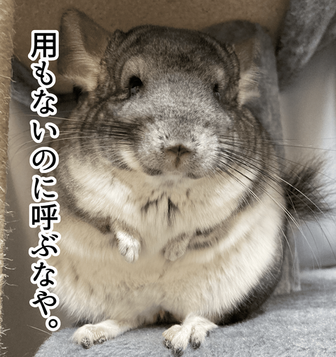 用もないのに〜_010