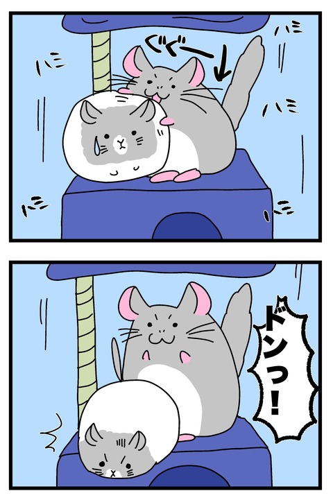 ハンモック〜_012のコピー2