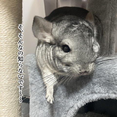 コミック65_026