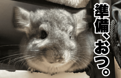 準備。おつ