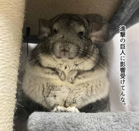 コミック65_031