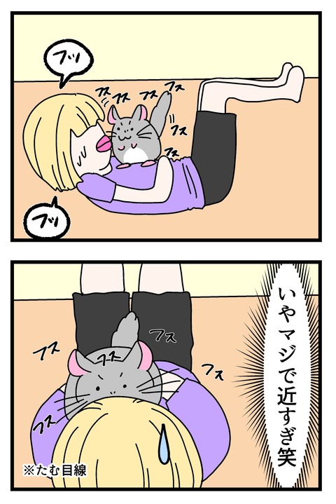tiramanga_005のコピー