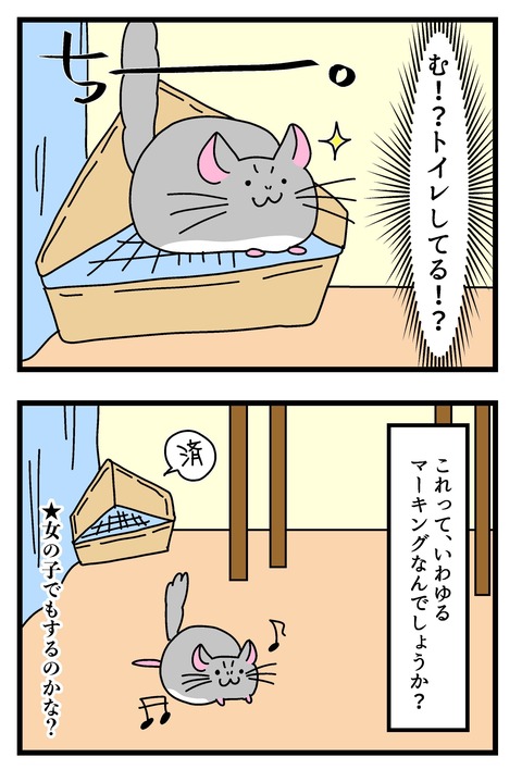 ハンモック〜_013のコピー