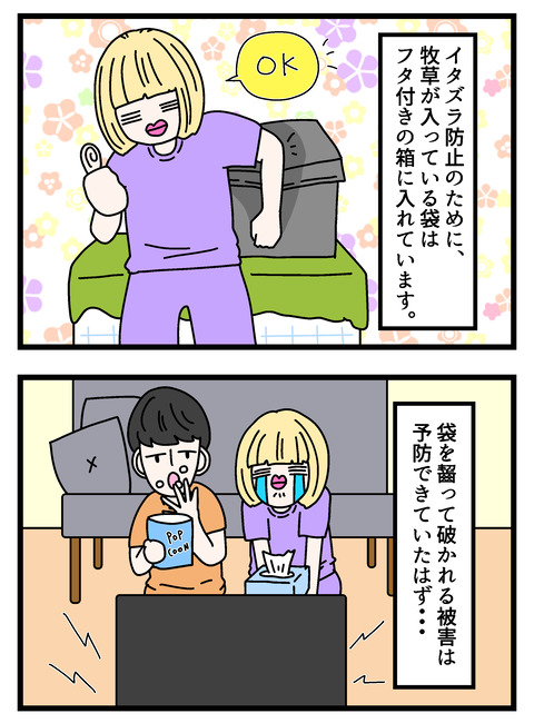 個展で入れたやつ_012 copy