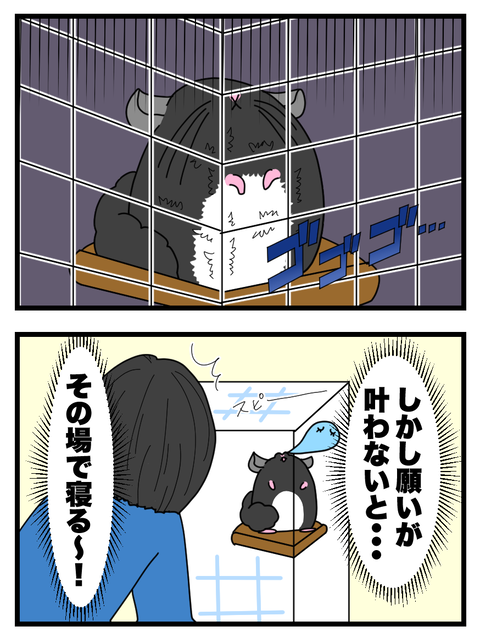 わさびとぐうたらフレンド日記40-57_044 copy 3