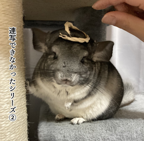 コミック65_029