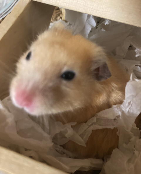 Screenshot 2023-12-23 at 15.14.21