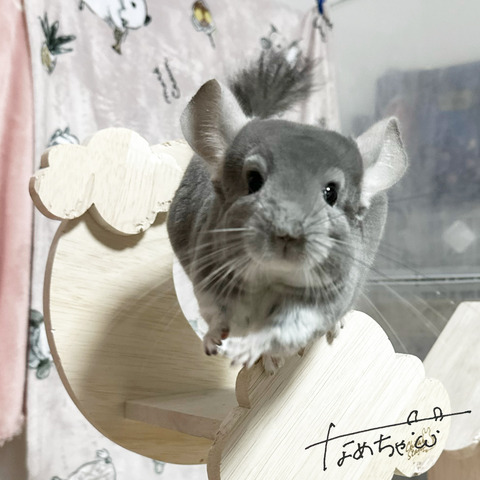 IMG_8827 - あおた