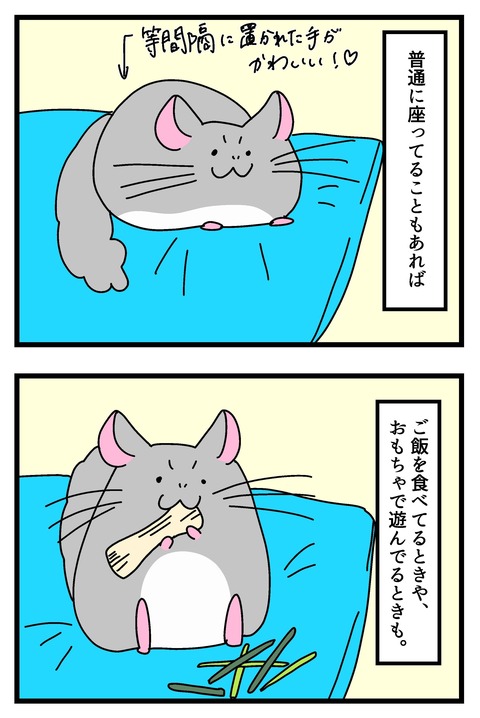 チンチラ漫画6~9_007のコピー2