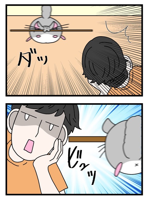 個展で入れたやつ_006 copy 3