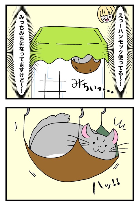 ハンモック〜_011のコピー2