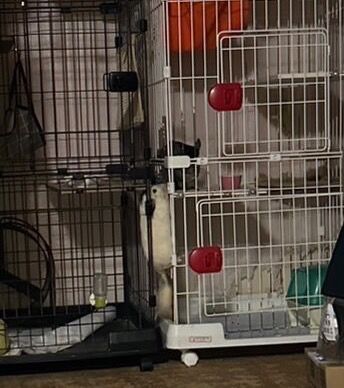 line_oa_chat_231103_084622