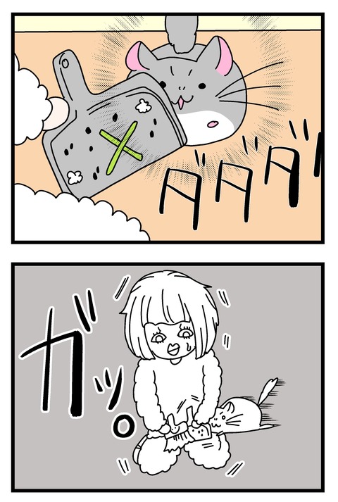 ハンモック〜_014のコピー2