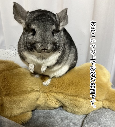 コミック66_081