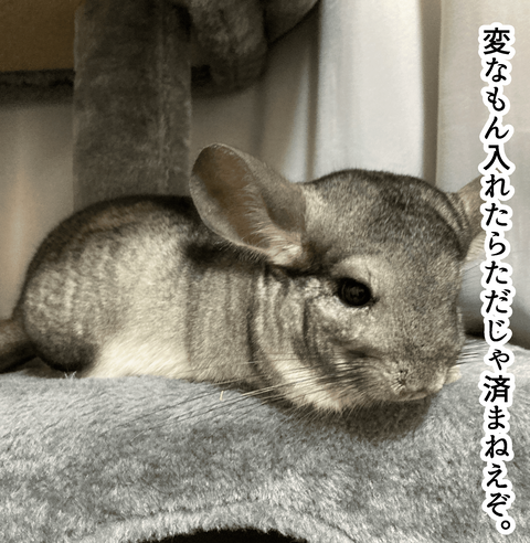 用もないのに〜_011