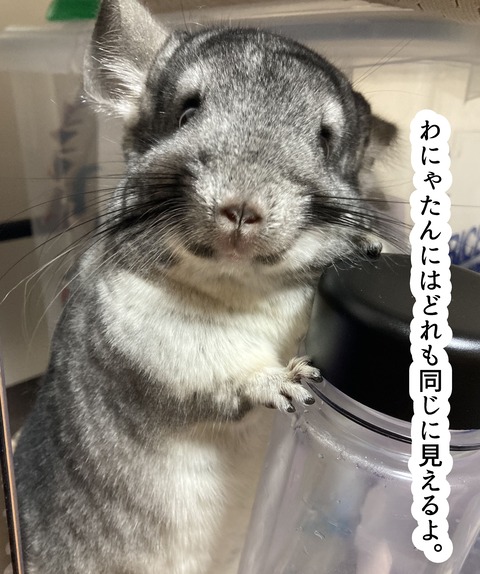 コミック6874_047