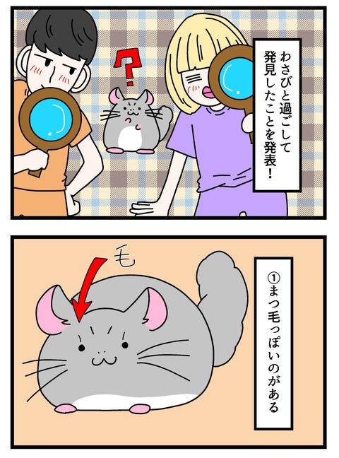 個展で入れたやつ_008