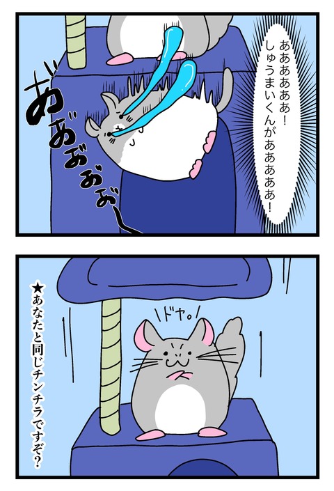 ハンモック〜_012のコピー