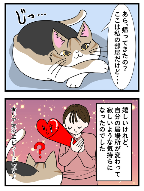 わさびとぐうたらフレンド日記49_049