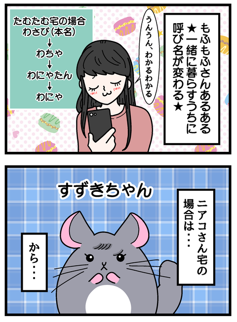 ニアコさんre_006