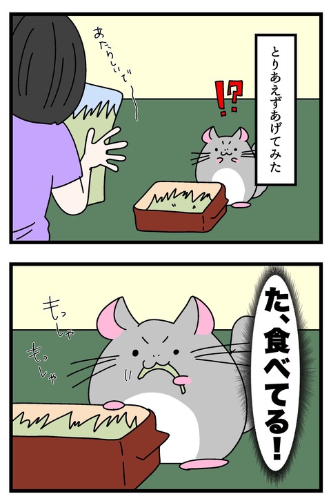 コミック69_033のコピー2