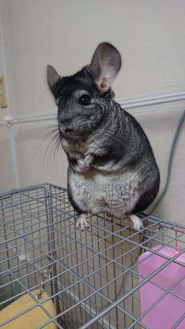 2CC566C0-F2BD-4EAD-8E08-5D6232BC2DC4