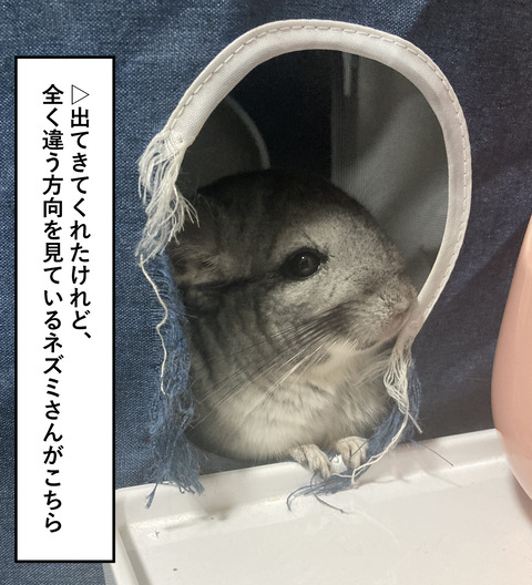 コミック69_046
