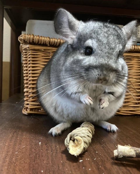 24D14220-7E02-42E7-B527-D18B0EAC7D52