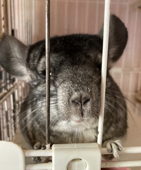 line_oa_chat_231118_162708