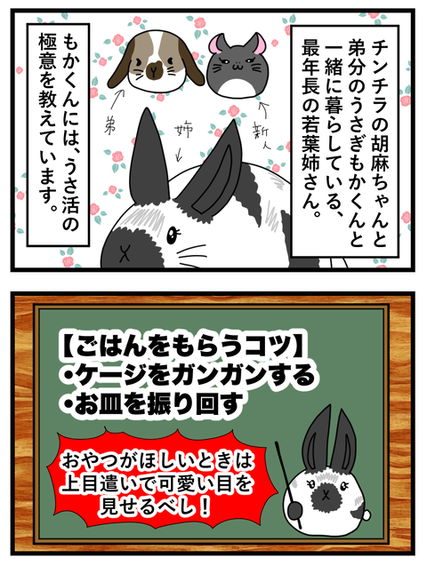 わさびとぐうたらフレンド日記40-57_042 copy 2